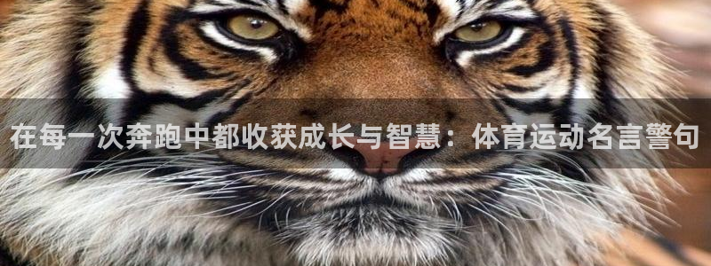 oety欧亿体育官网下载招商电话号码是多少号：在每一