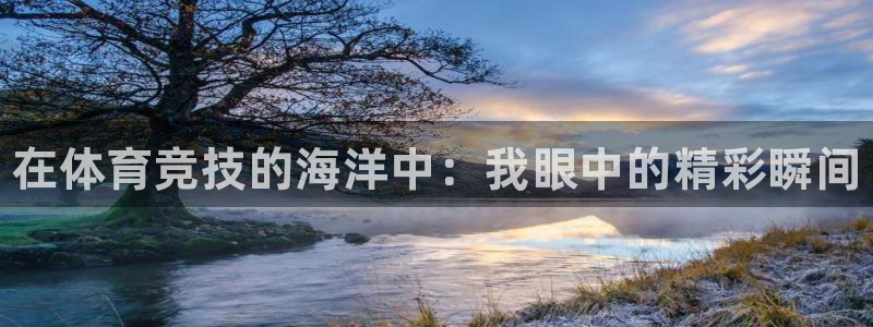 oety欧亿体育官网下载招商电话号码查询：在体育竞技