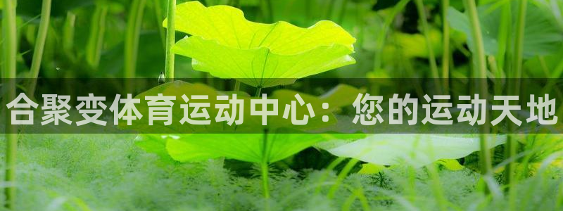 oety欧亿体育官网下载平台假的吗是真的吗：合聚变体