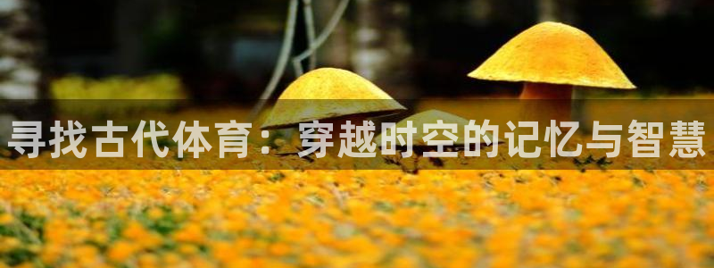 oety欧亿体育官网下载招商电话号码：寻找古代体育：