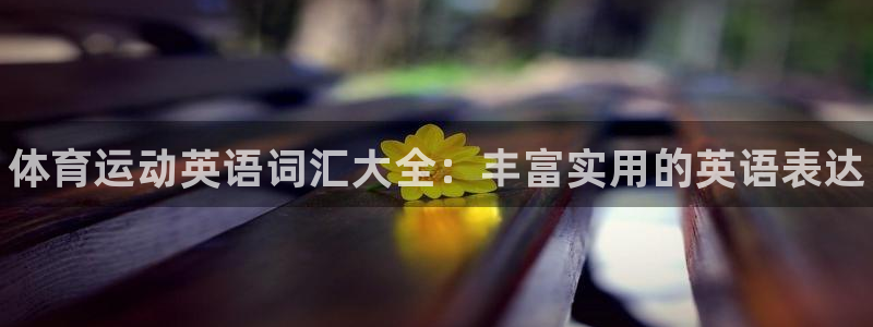 oety欧亿体育官网下载娱乐：体育运动英语词汇大全：