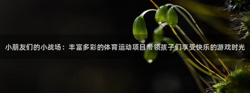 oety欧亿体育官网下载招商电话号码是多少：小朋友们的小战场