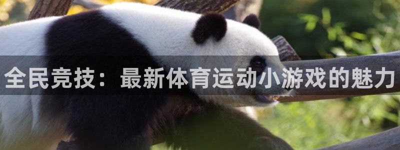 欧亿体育官方正版app神州：全民竞技：最新体育运动小