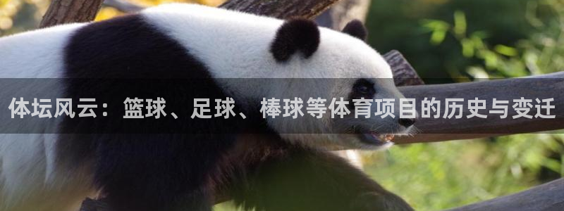 oety欧亿体育官网下载招商电话是多少：体坛风云：篮