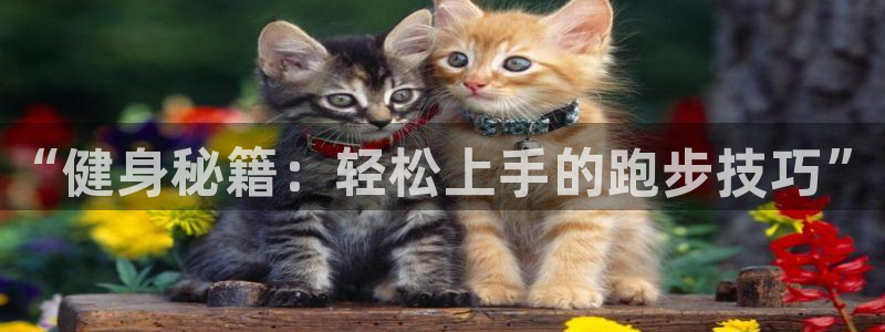 oety欧亿体育官网下载平台注册要钱吗：“健身秘籍：