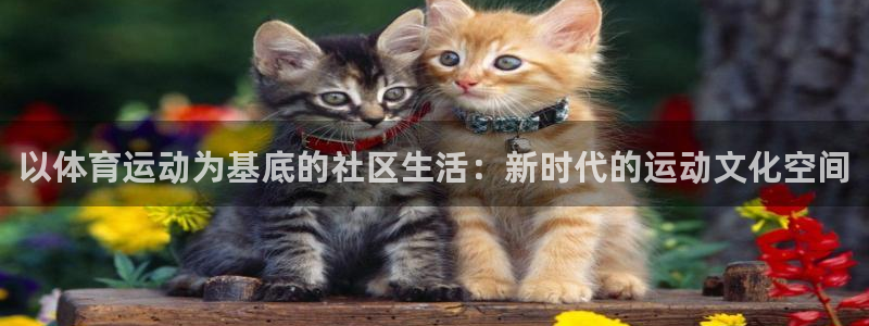 oety欧亿体育官网下载平台：以体育运动为基底的社区