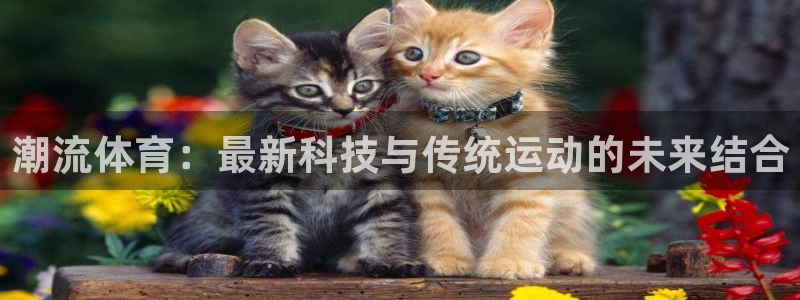 欧亿体育官方正版app娱乐网站：潮流体育：最新科技与