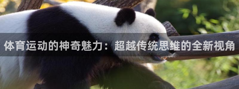 欧亿体育官方正版app娱乐网站：体育运动的神奇魅力：