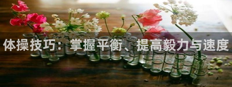oety欧亿体育官网下载招商电话地址：体操技巧：掌握