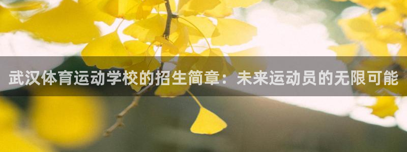 海南oety欧亿体育官网下载：武汉体育运动学校的招生