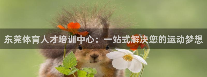 欧亿体育官方正版app开户：东莞体育人才培训中心：一